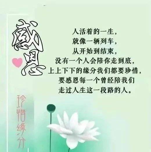 说透人生哲理一段话!_因果_人间_因为