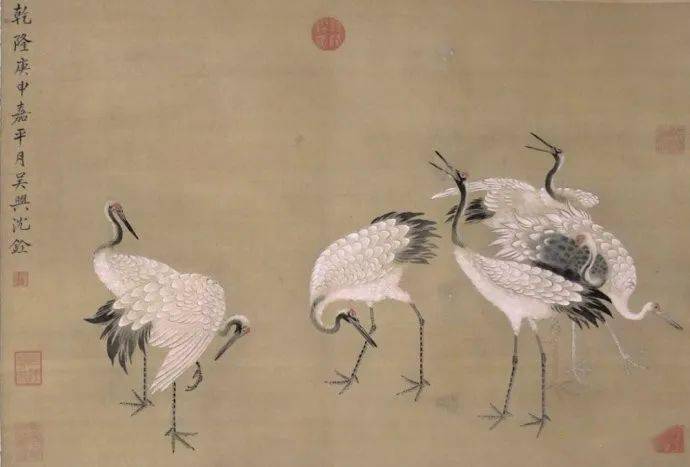 名品视界】清代沈铨花鸟画作品欣赏_搜狐网