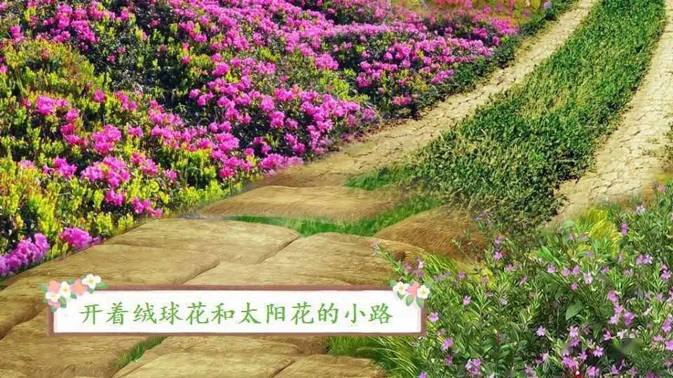 正式发布 | 2022秋季统编版语文1-6年级上册课件教案