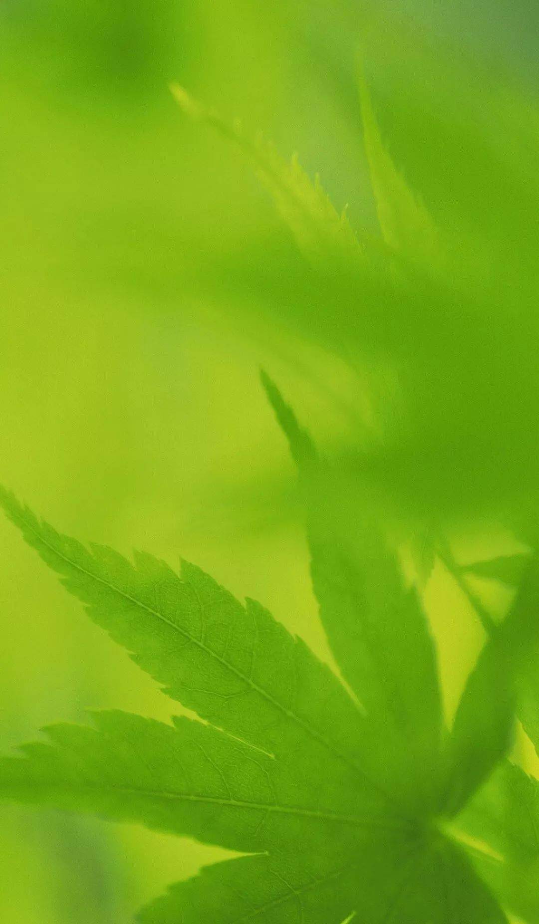 眼科专家推荐,看微信保护眼睛的简单方法,万人验证有效!