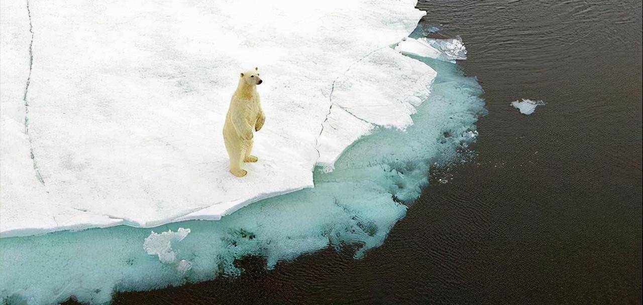在2050年内就减少30%……在全球持续变暖的大背景下,北极的冰川已经在
