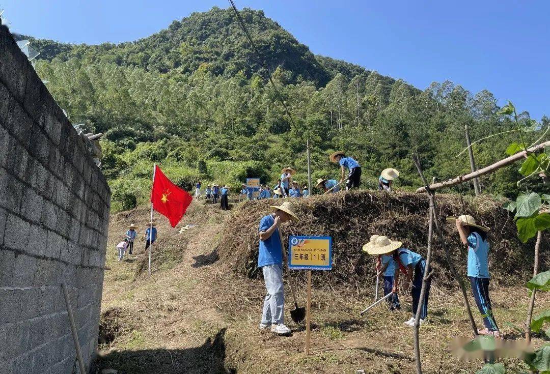 德保县都安乡中心校"劳动教育实践基地"揭牌了!_课程_中小学_仪式