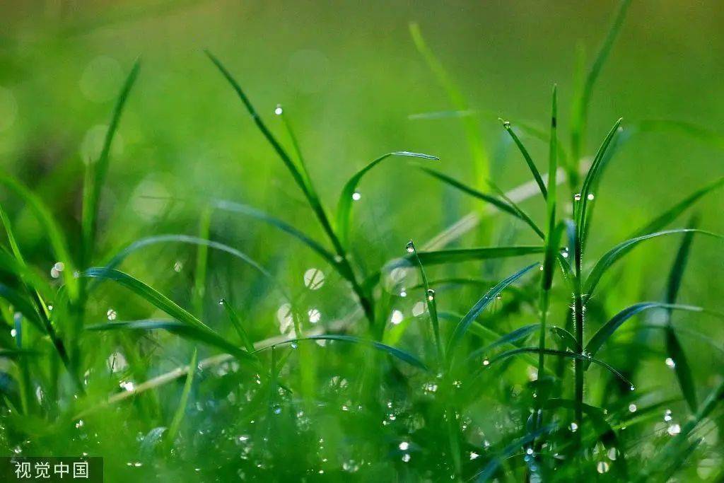 秋季第3个节气,干支历申月的结束与酉月的起始斗指癸;太阳达黄经165度