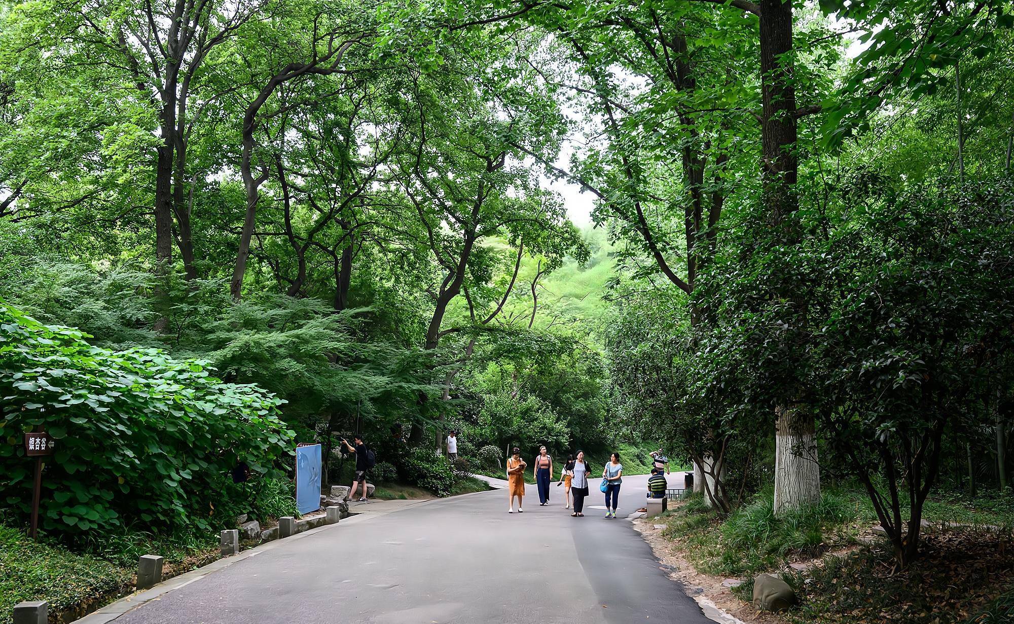 南京清凉山公园，一座藏于喧嚣闹市中的城市山林，门票免费