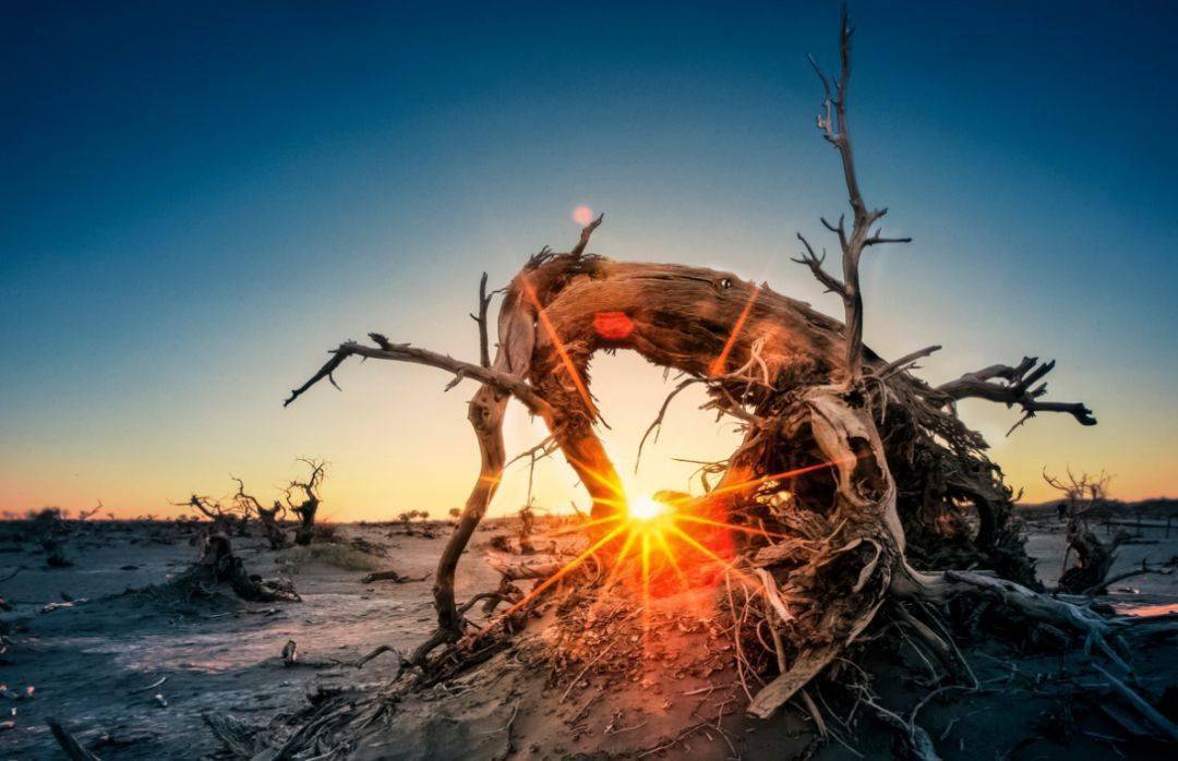 风呼啸既凄凉又唯美伴着绯红的云霞余晖下或似龙腾或如虎跃或挺拨或