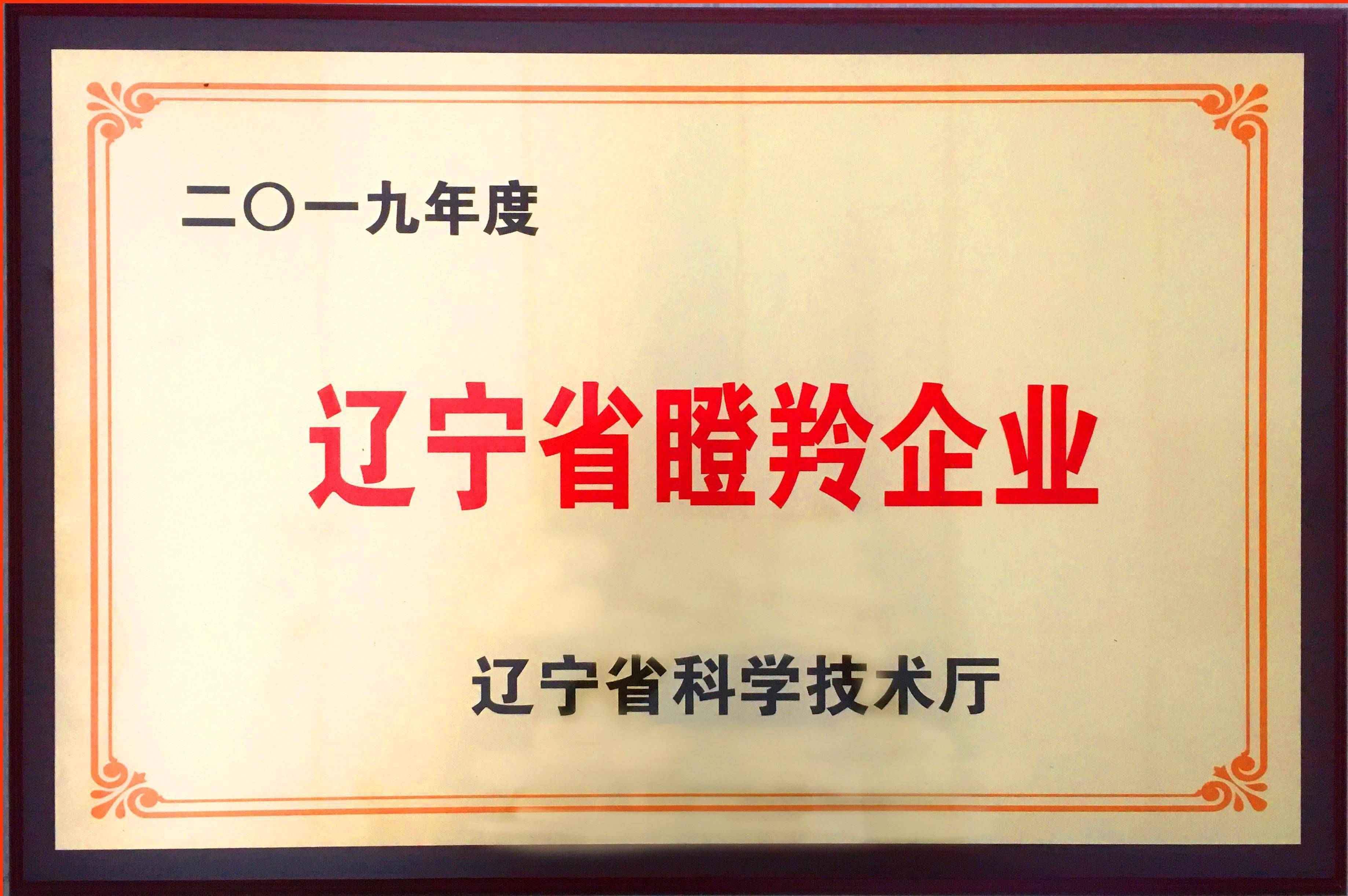 双迪股份企业简介_高新技术_发展_辽宁省
