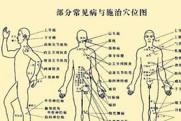 人體上與宇宙交換能量和信息的穴位有三百六十五處|精講黃帝內經184