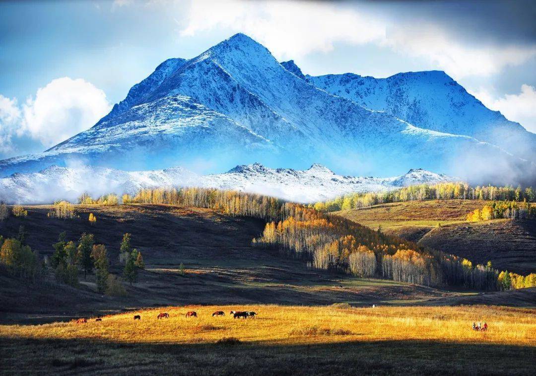 大美新疆,喷喷香_缸子_胡杨_国航