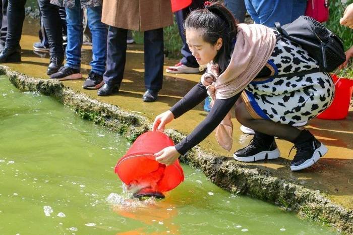 放生矿泉水,何不改为放生空气?