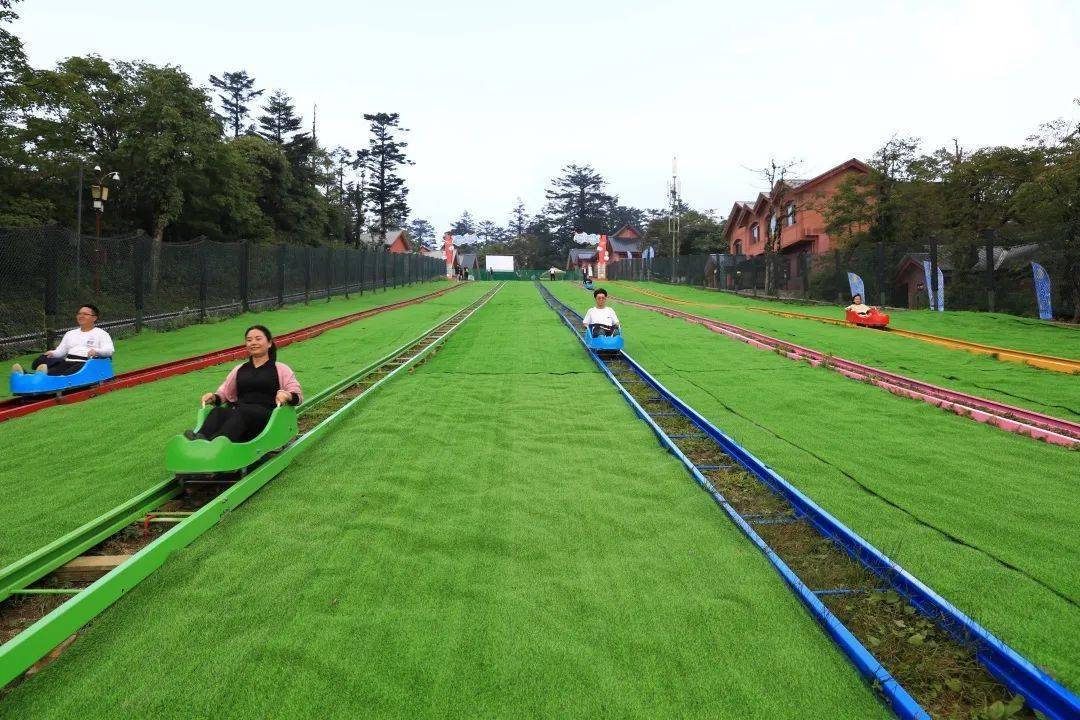 的压力尖叫声此起彼伏在森林的包围中快速滑行长达160米的轨道滑草