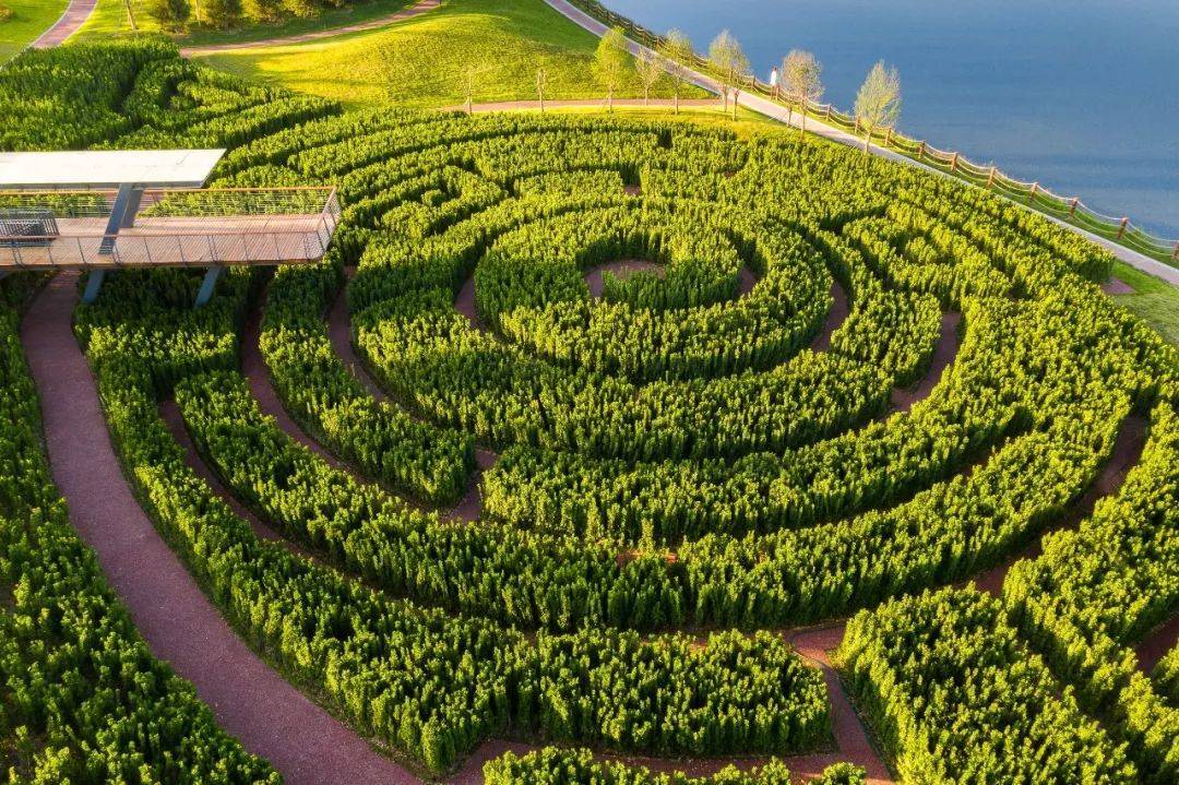 西咸沣河的北侧,有一处植物迷宫,在设计者眼里,是开阔与私密的表达,是