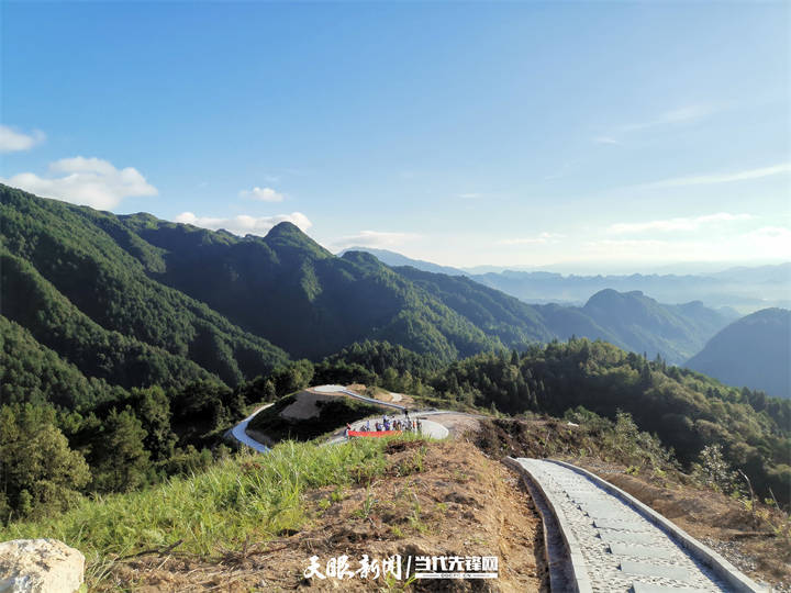 黄平县浪洞镇永康村:300亩油茶种植 荒山披新绿_示范_集体经济_壮大村