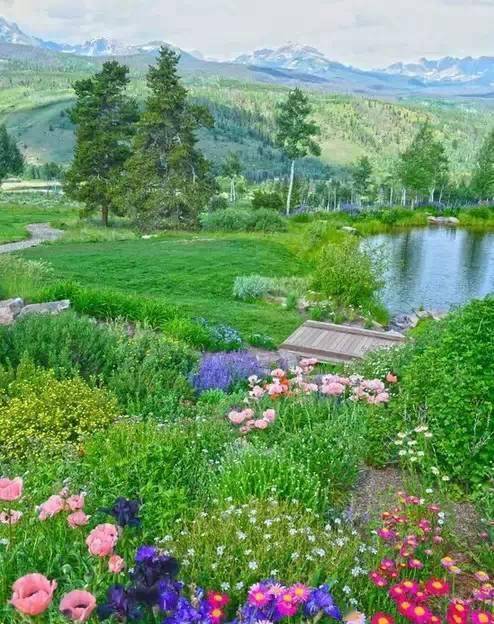 494_624竖版 竖屏