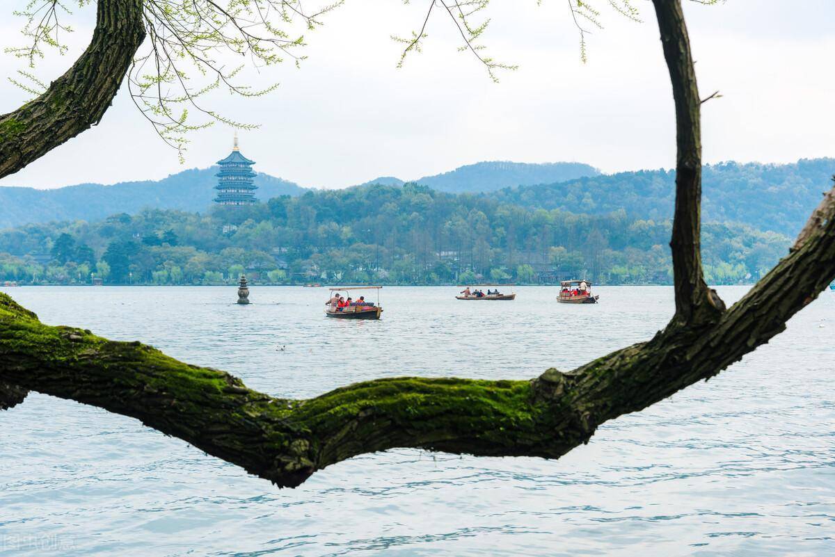 郭進拴|遊三潭印月_黑魚_江南中_杭州西湖