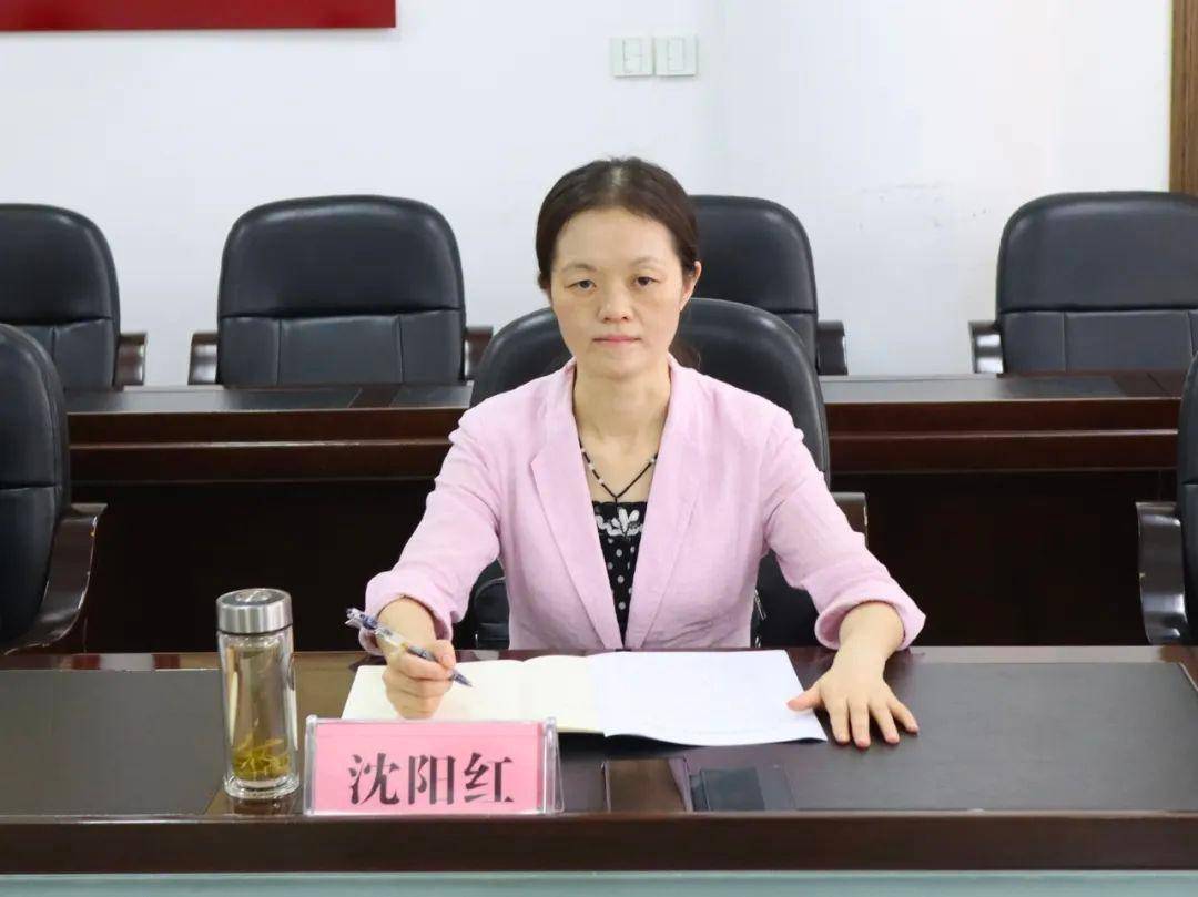 富阳区委常委,纪委书记,监委主任沈阳红赴灵桥镇调研_建设_工作_镇