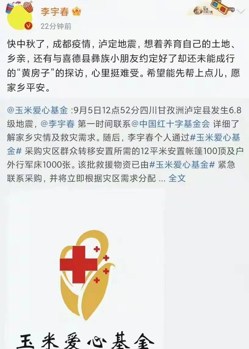 李宇春捐款河南图片