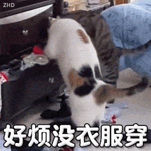 好香,像你一样。丨第490期喵表情包_喵君_猫咪_网络