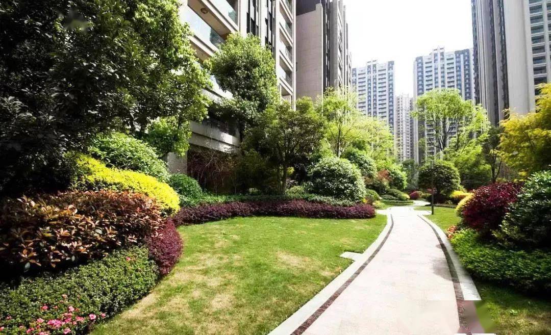 绿化植物组合搭配秘籍_灌木_配置_乔木