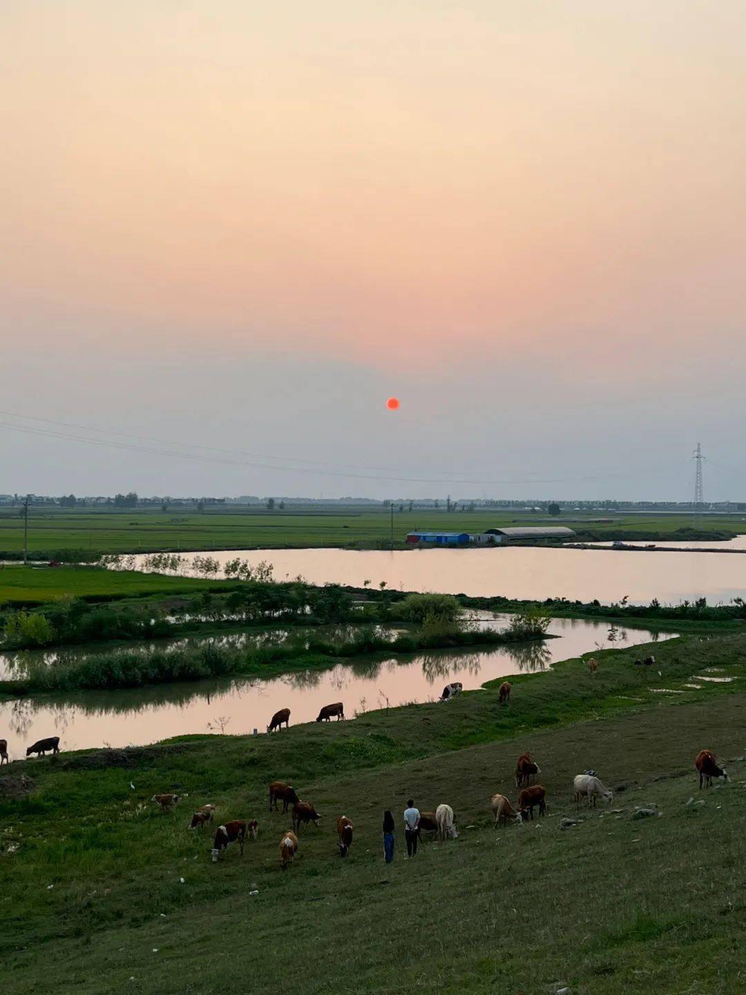 颍上润河小河湾火了_坝子_美景_原生态