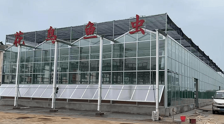 汊河生活丨汊河这里即将建成花鸟鱼虫大市场,附效果图,实景图_汊河镇