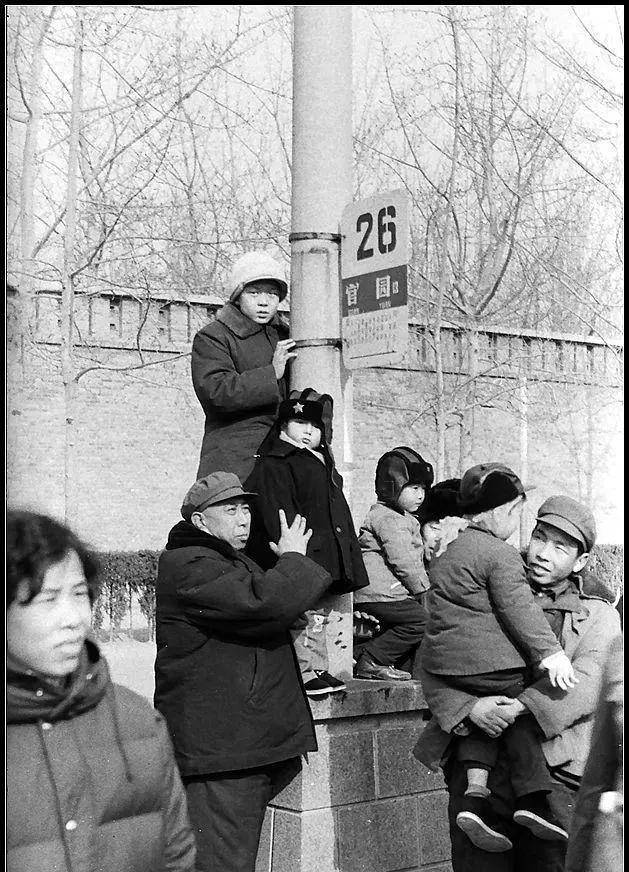 北京西单段景伊照片图片