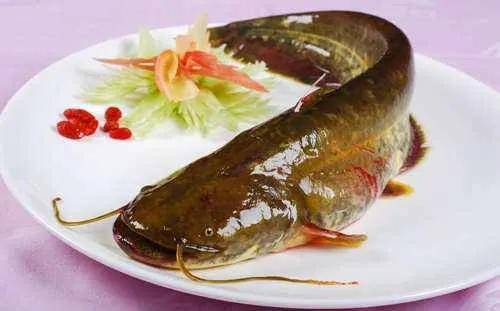 中国十种常见的食用鱼_糖醋鲤鱼_品种_水域
