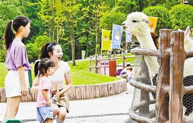 重庆A级旅游景区中秋假期接待游客341.3万人次