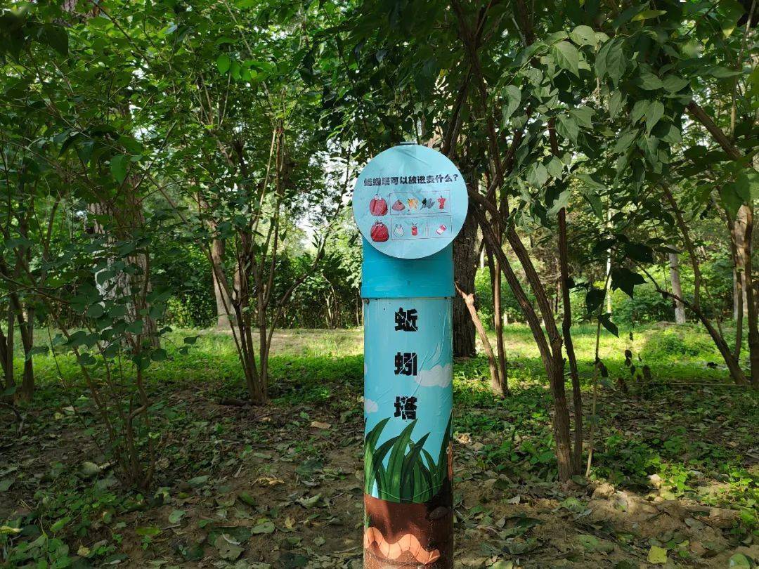 很像瞭望台的"蚯蚓塔",利用树叶,杂草等枯落物吸引蚯蚓,蚯蚓会通过小