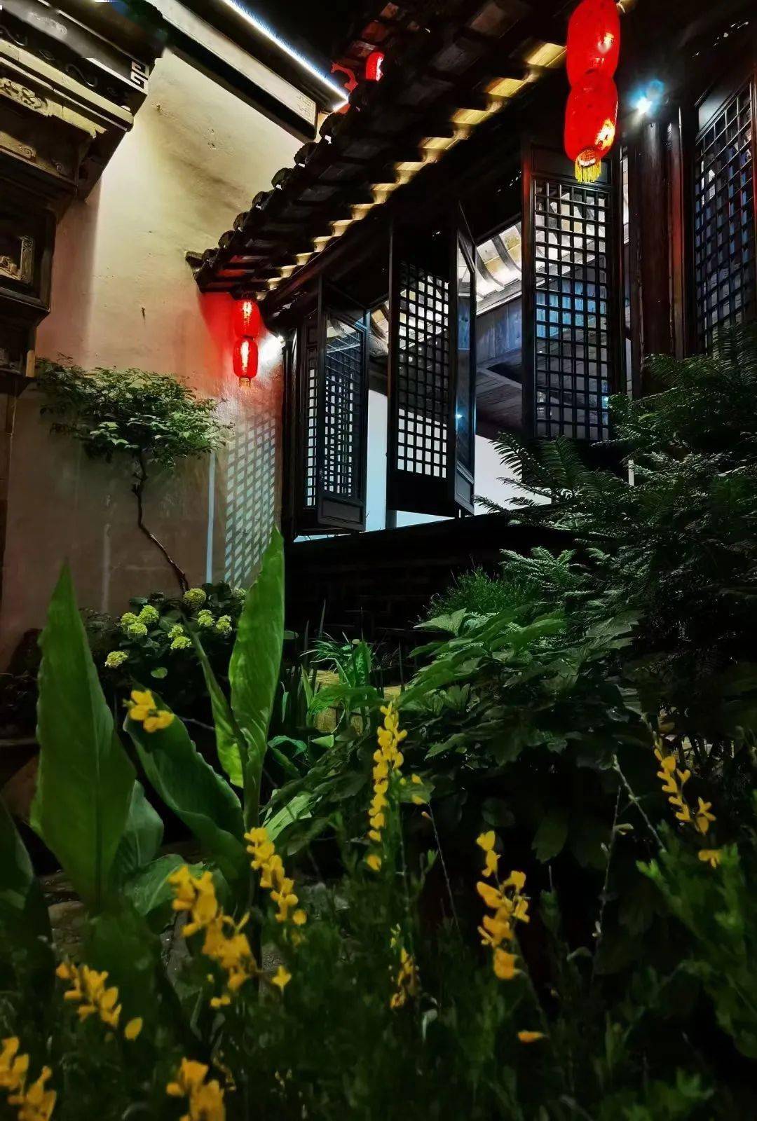诗意栖居丨百年老宅变民宿美得不像话