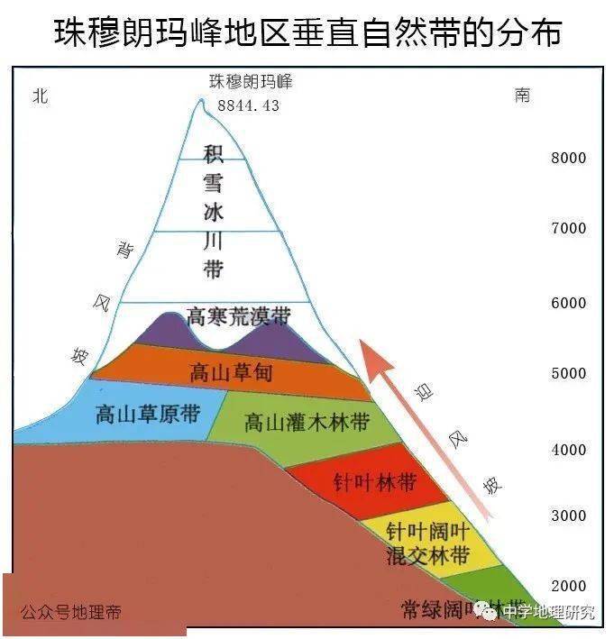 20座山脈的垂直自然帶譜,總結全了!_雪線_影響_緯度