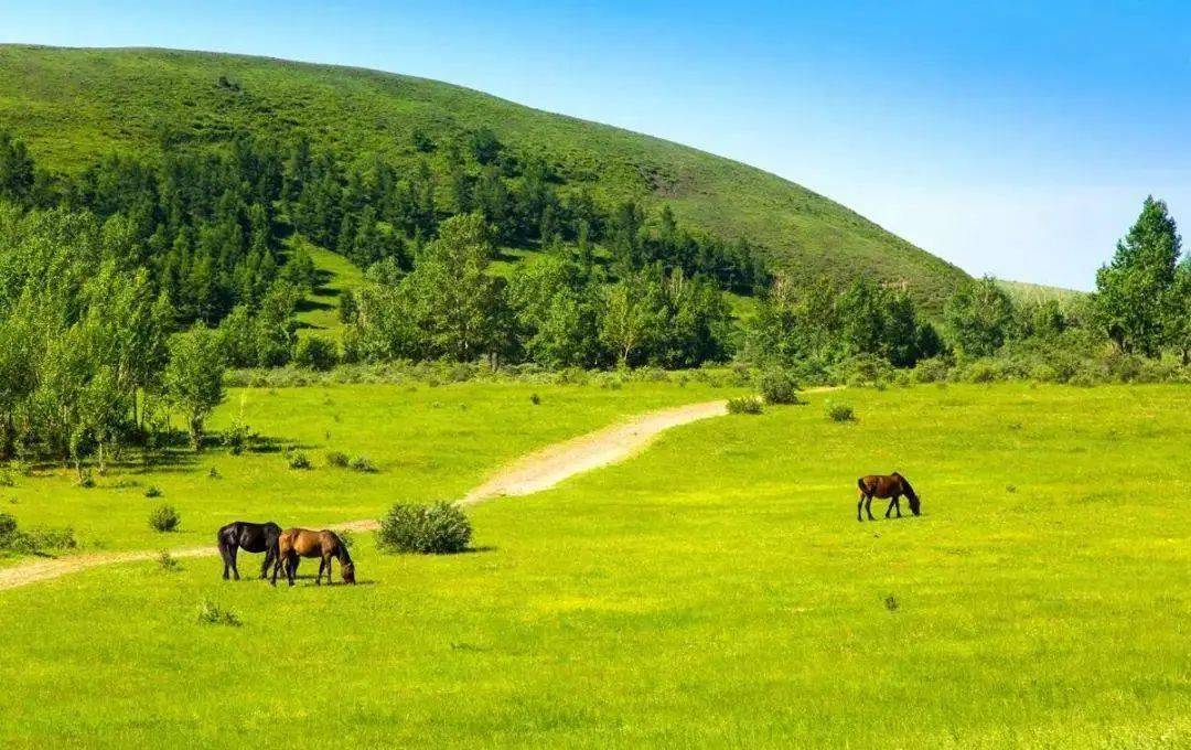 【赤峰市】值得一去的十大景点,内蒙古旅游攻略_红山_蒙古语_景区