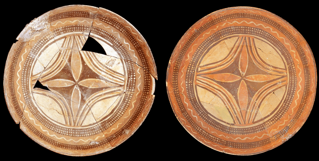 2022年全国科普日活动暨学术讲座第160期 | 谈晟广《苍穹之华:四叶花