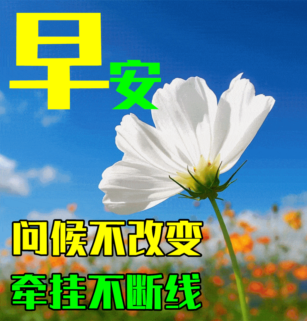 9月15日秋天早上好动态表情图片大全,早晨好动图美图大全_人生_心情