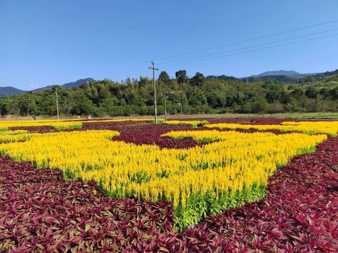 沙縣蝦國慶遊玩好去處!_俞邦村_公園_溼地