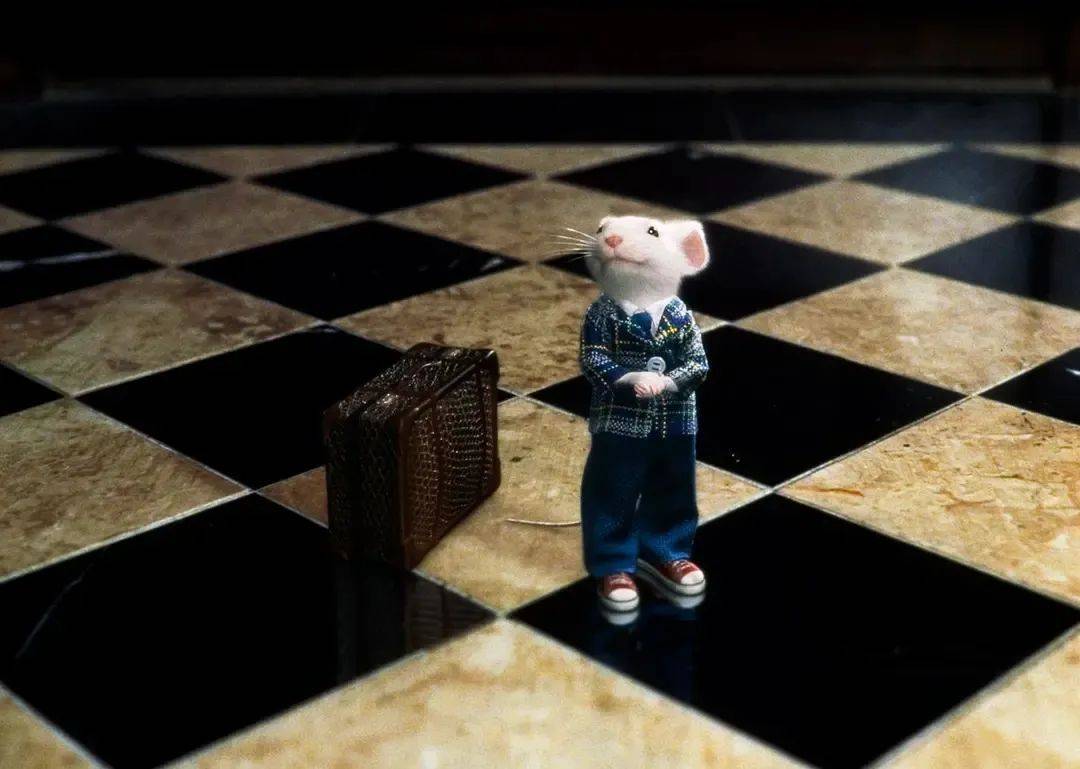 史都华刚到理特家时,乔治不喜欢他,家里的猫小白也不喜欢他,差点吃了