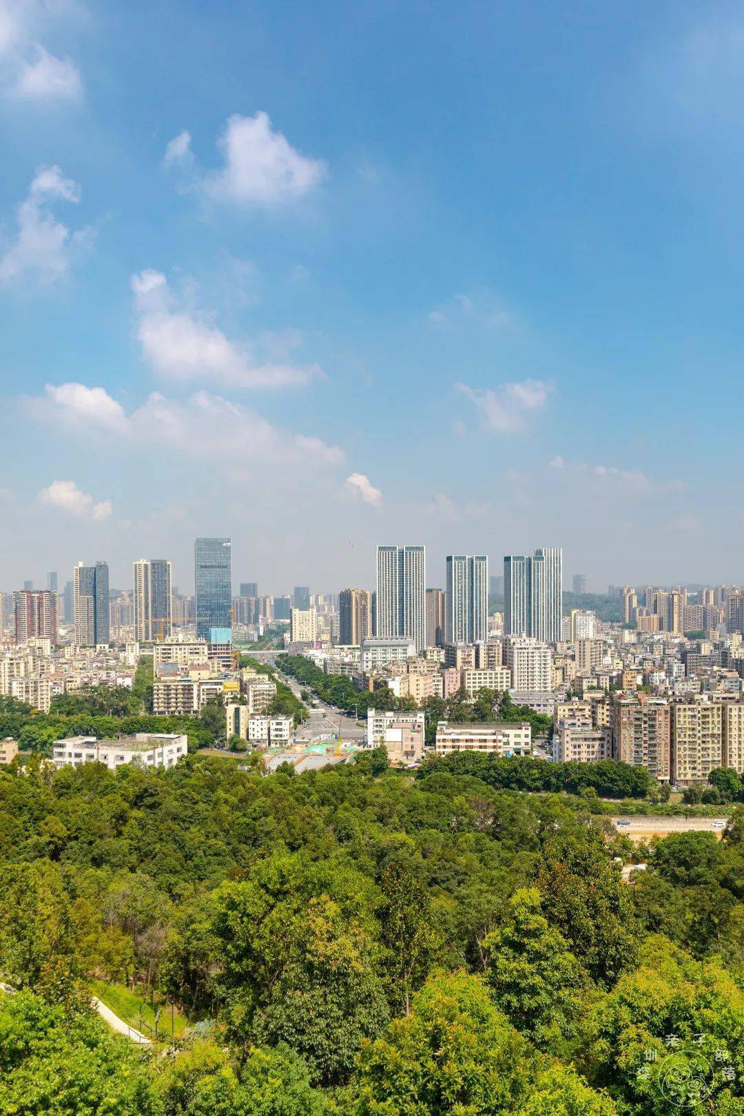 深圳这个小众公园火了！200m空中步廊、山顶超高眺望塔…_嶂背_郊野_Part