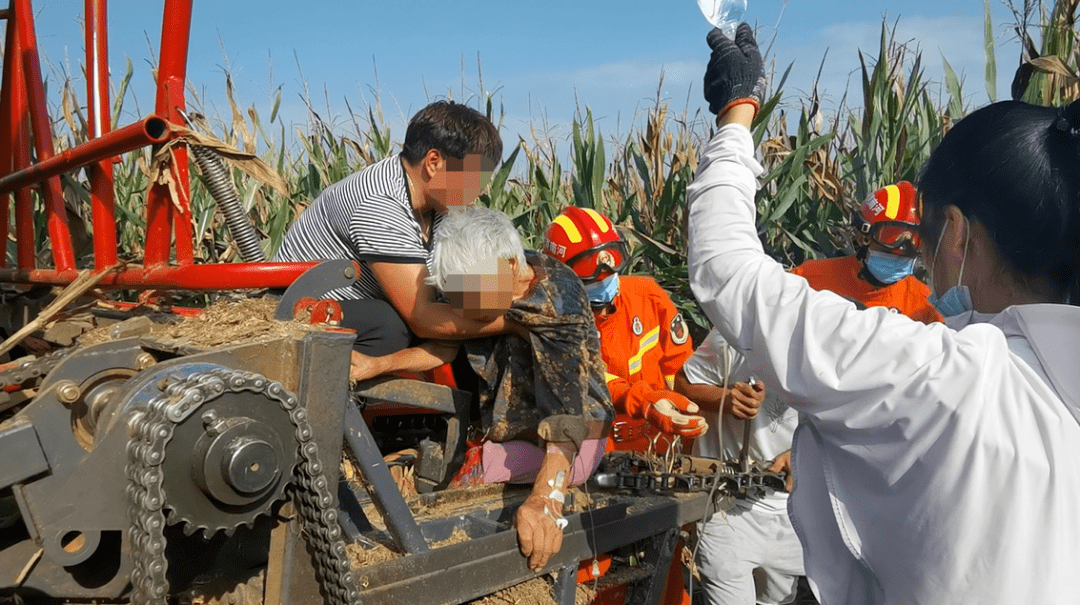 收割机内一名83岁老人在自家田地里收玉米时商丘市柘城县牛城乡王楼村