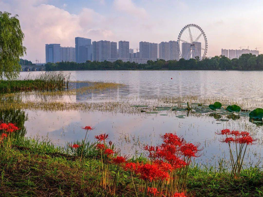 初秋的心湖_洪溪_侵权_叮当