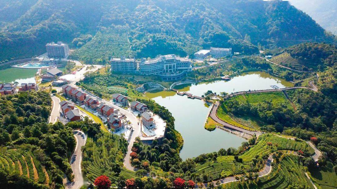 空气清新五星翔顺象窝酒店坐落象窝生态园山顶,有一家是名副其实的