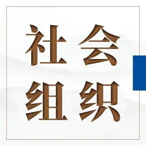 成功走出一条具有中国特色的社会组织发展之路——我国社会组织发展十年回顾_工作_党建_应建尽