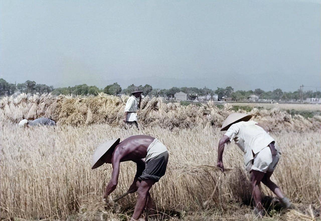 这些六七十年代中国各地的老照片,是你的回忆吗?_搪瓷厂_外国_脸盆