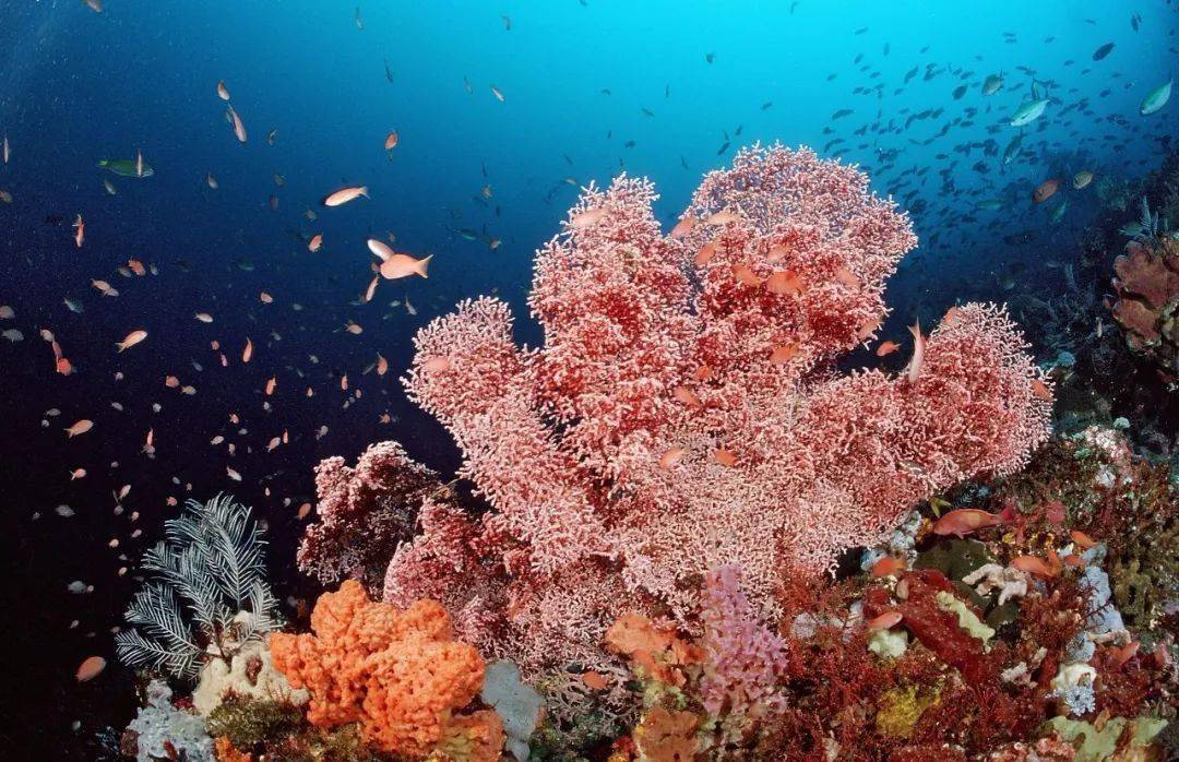 西沙群岛_海岛_大陆