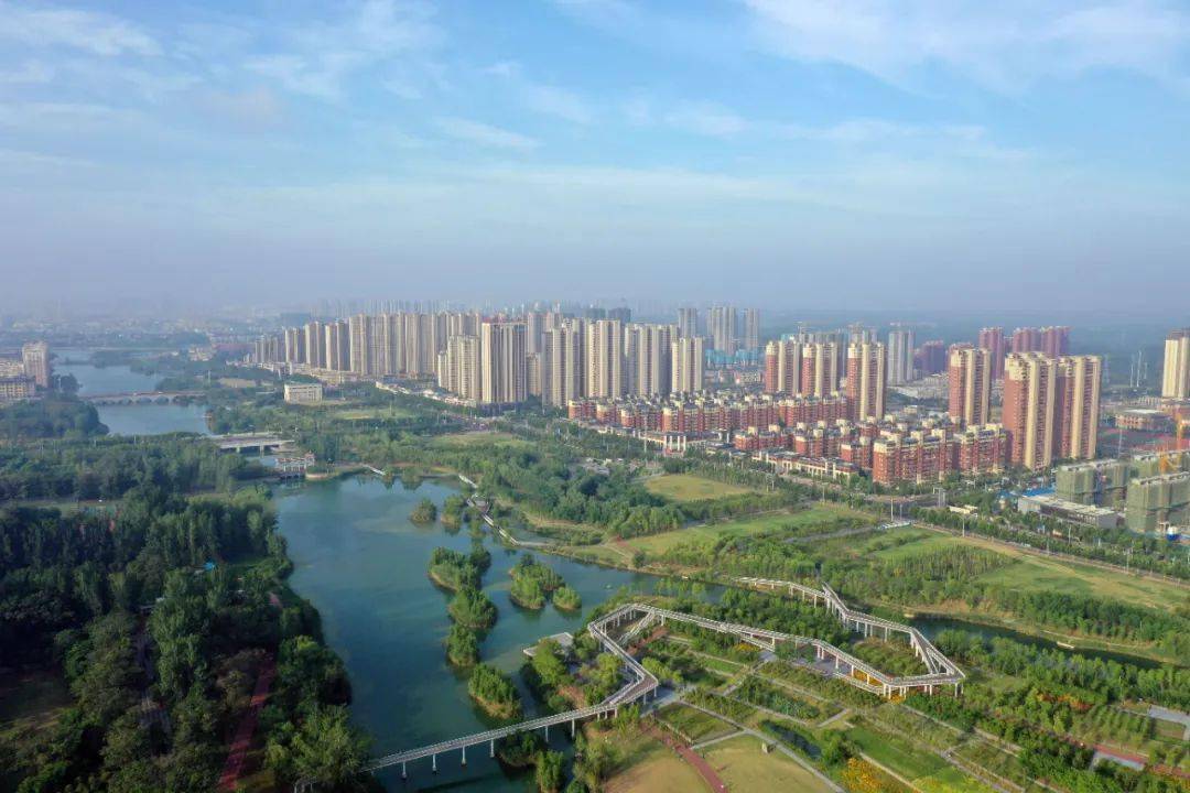 喜迎二十大丨奋力书写皖北走前列的"谯城答卷"_谯城区_花茶_种植