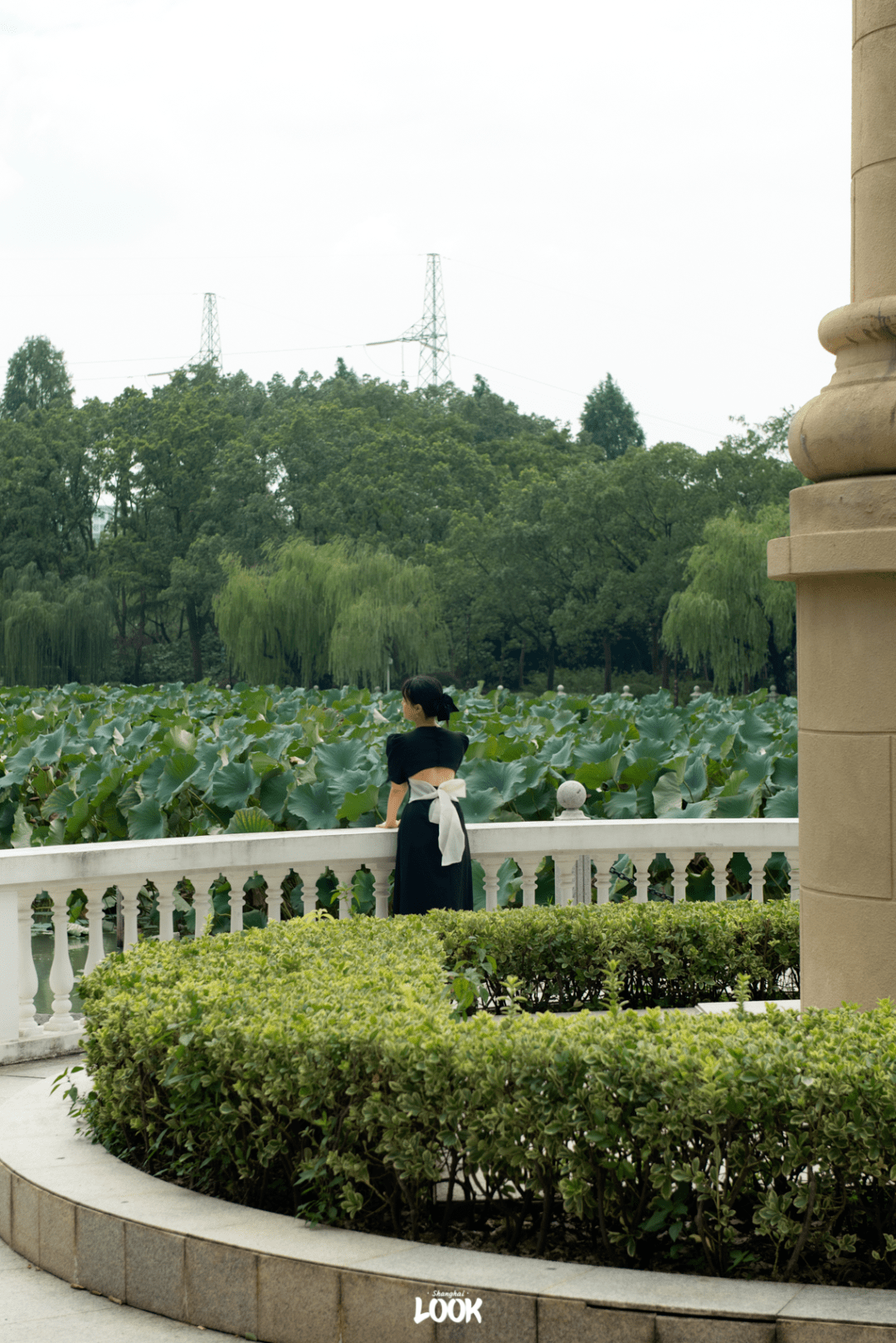 Look 思賢公園 魔都又一座法式公園 環形 長廊 松江 Standardscollector