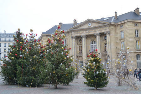 巴黎第一大学,法国高级国际金融学院金融双硕士的申请条件是什么?