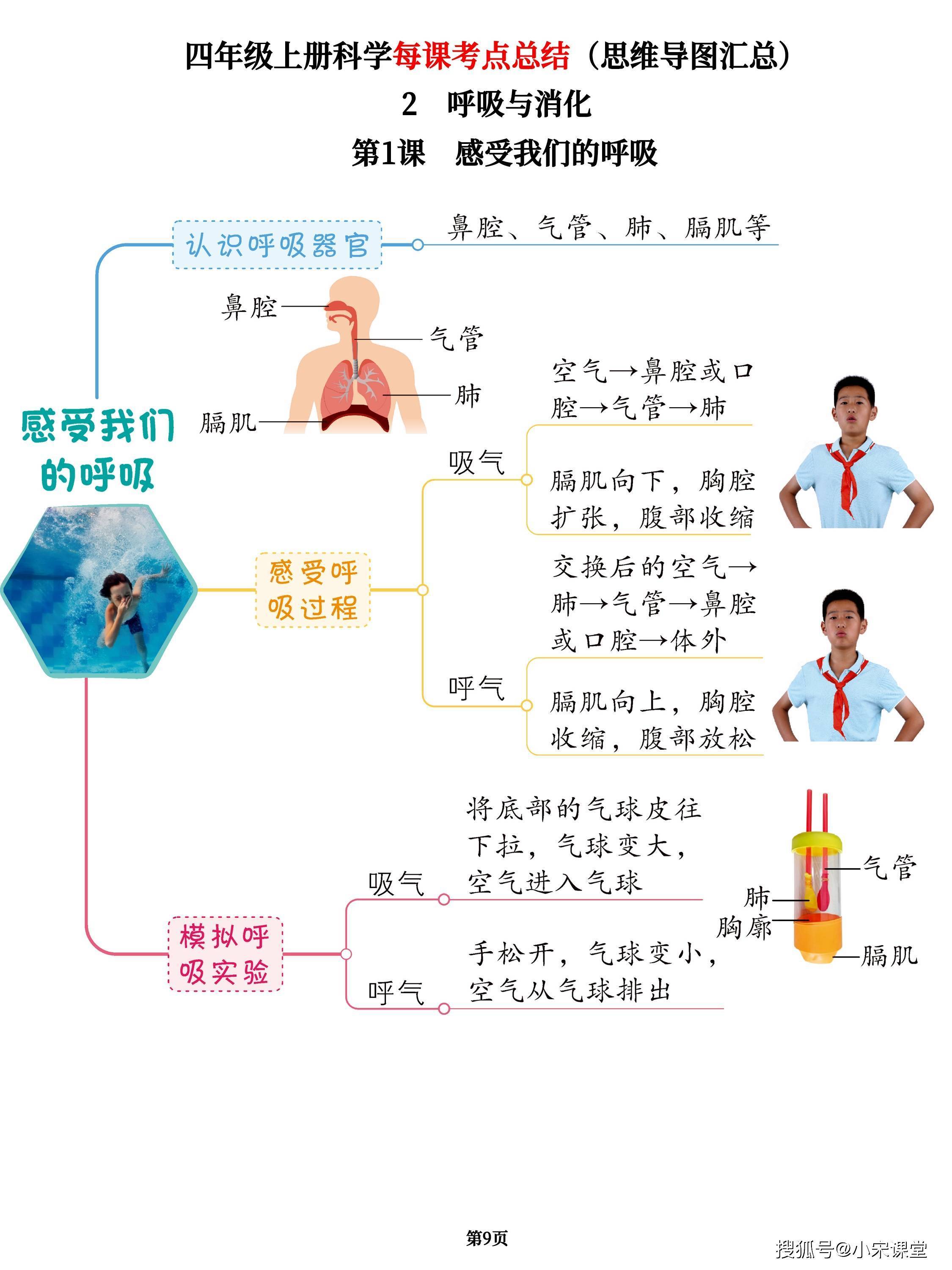 四年级上册科学每课考点总结