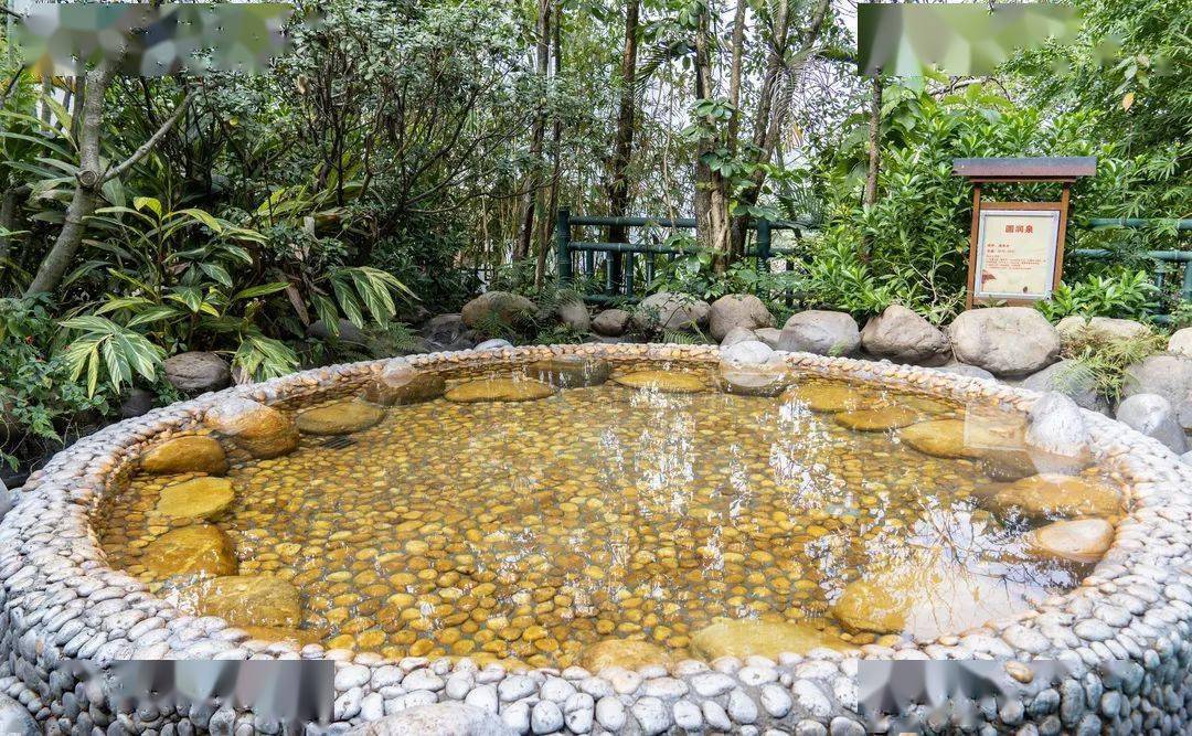 【国庆一口价】06498抢清远银盏森林温泉双人住宿含早套票～假期