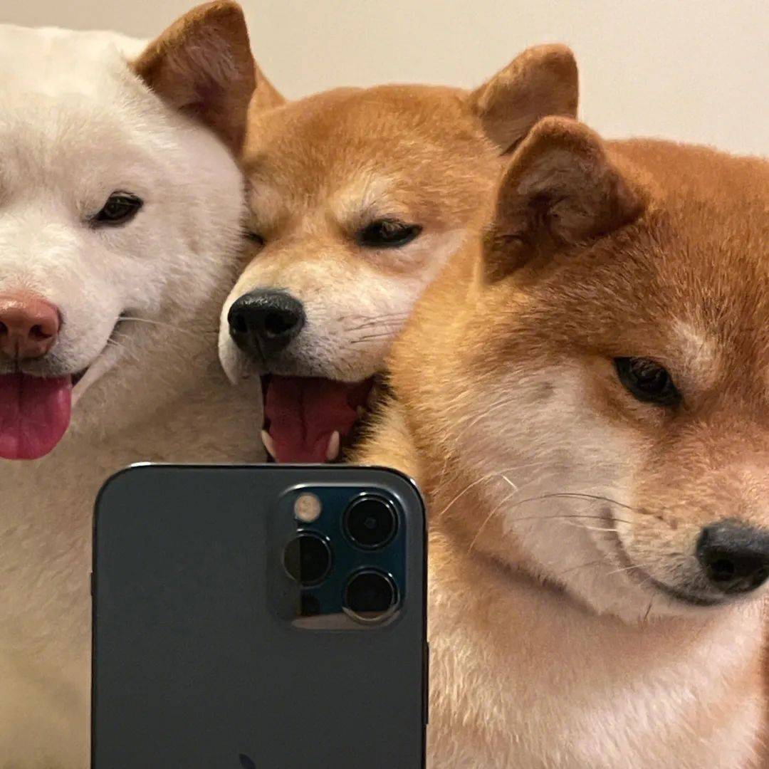 你的微信头像该换啦_cr_心情_乐华