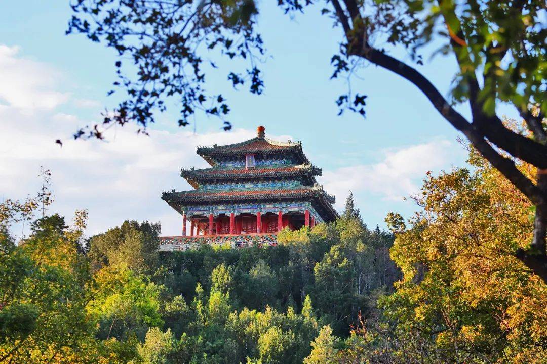 张金刚丨景山之景_北京_故宫_老太太