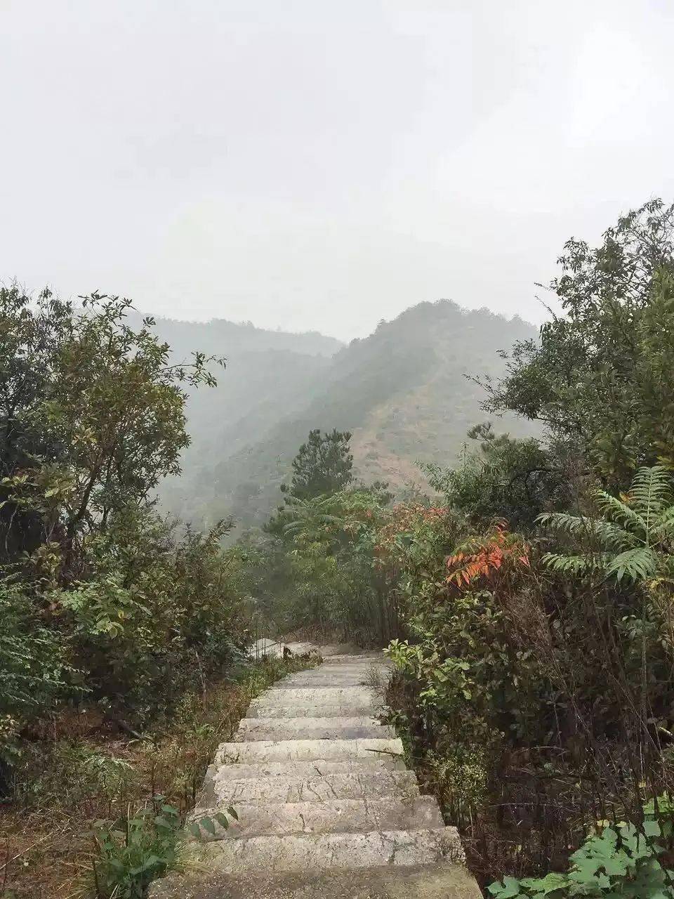 秋高氣爽正當時,去南部這個小鎮吹吹風吧~_橫河鎮_步道_公園